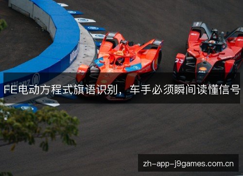 FE电动方程式旗语识别，车手必须瞬间读懂信号